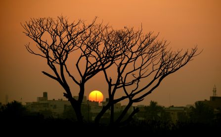 India landscape